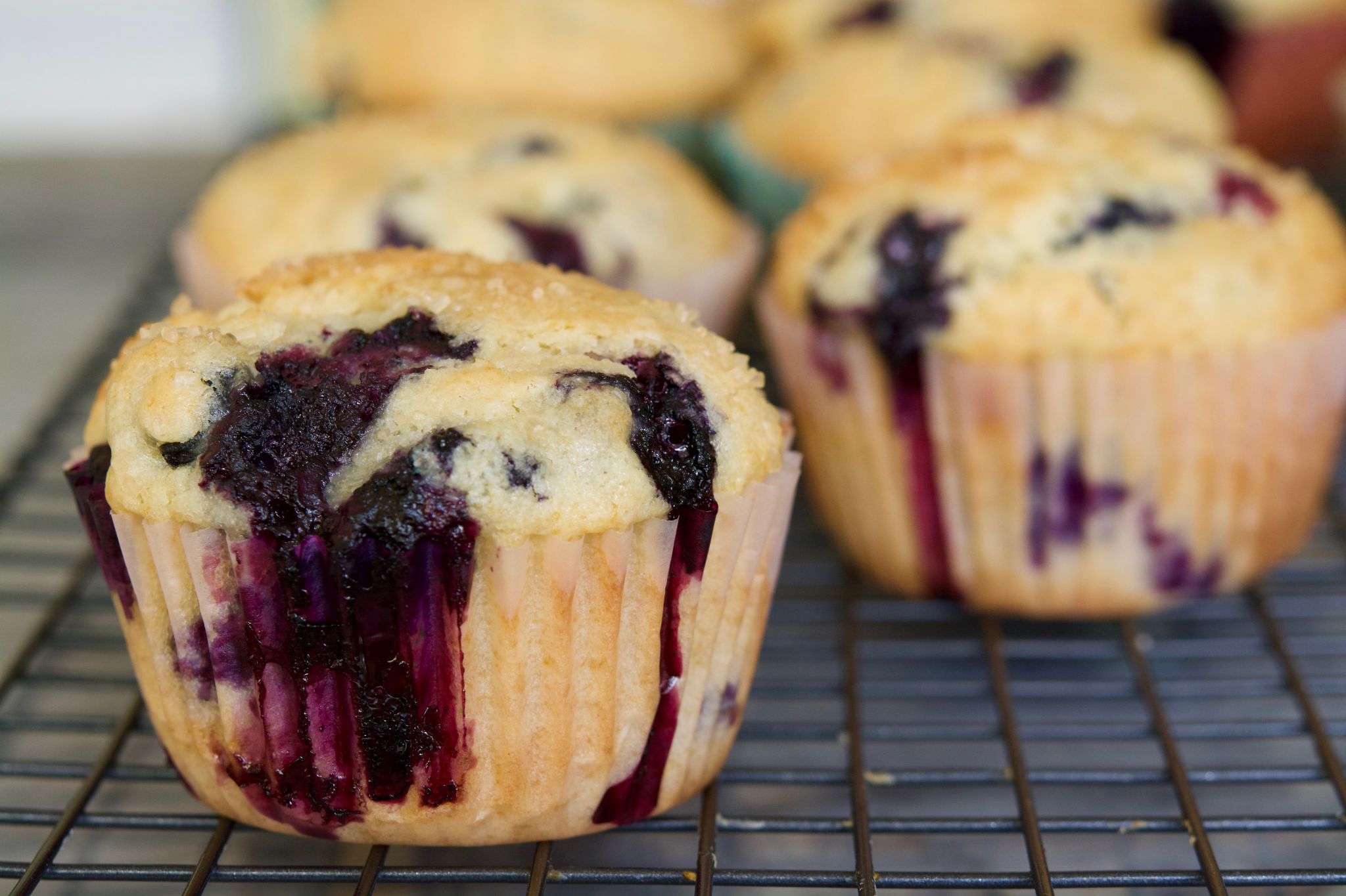 Ponqués o Muffins de Arándanos